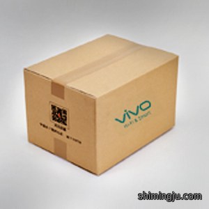VIVO VIVO